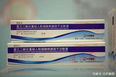實力斬獲行業殊榮，石藥集團彰顯生化藥品卓越實力